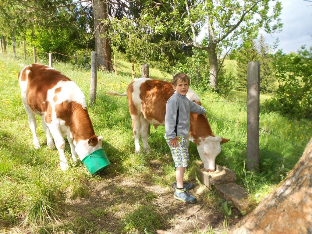 Appartamento Haus Moni Mauterndorf  Esterno foto